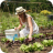 Allotments 05a