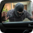 Car Theft