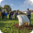 David Greaves Opens Orchard