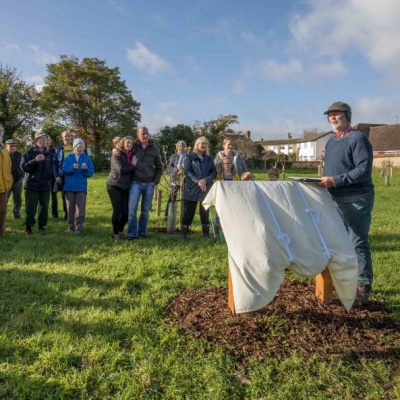 David Greaves Opens Orchard
