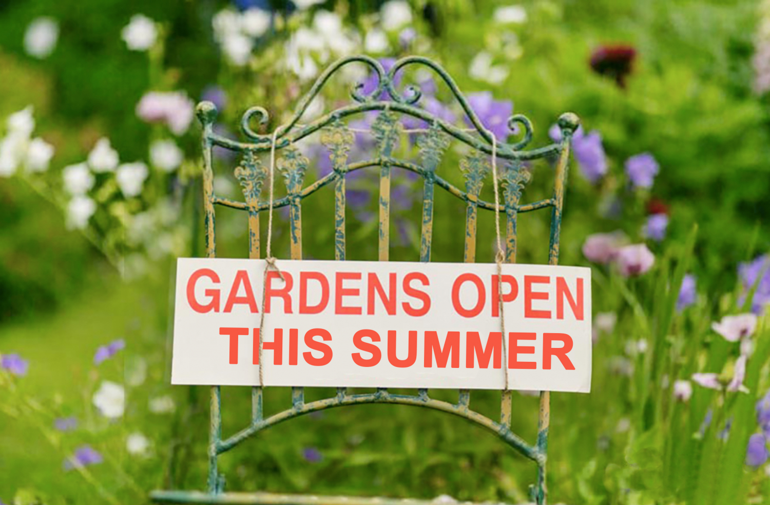 Haddenham Net Open Gardens This Summer