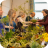 A Plant Stall Also