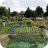 Allotments 03a