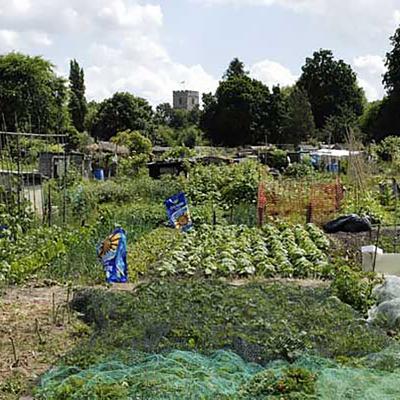 Allotments 03a