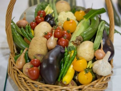 Annual Show 09