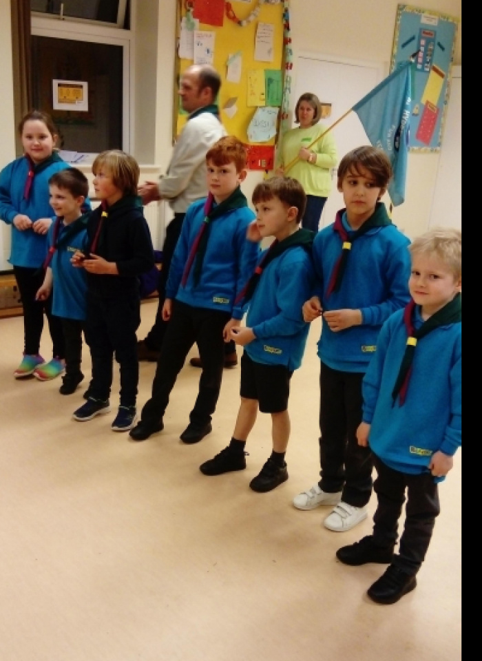 Beavers 02