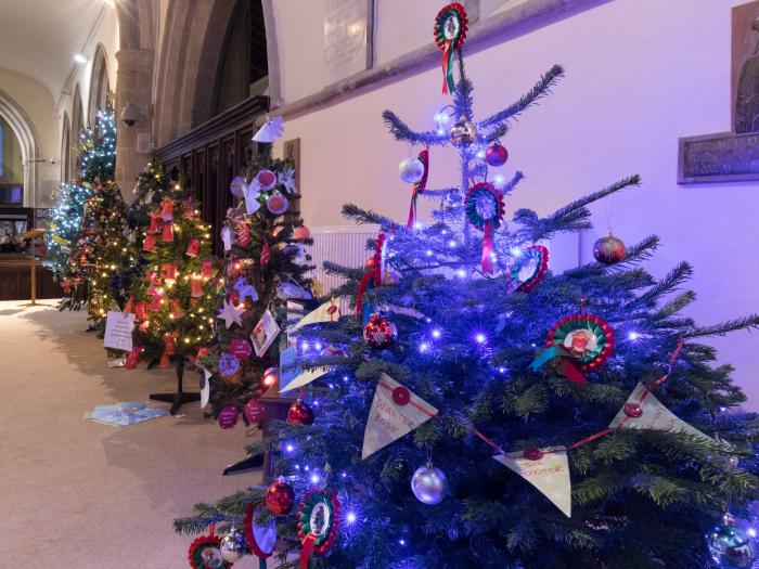 Christmas Trees 05
