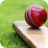 Cricket Image 01
