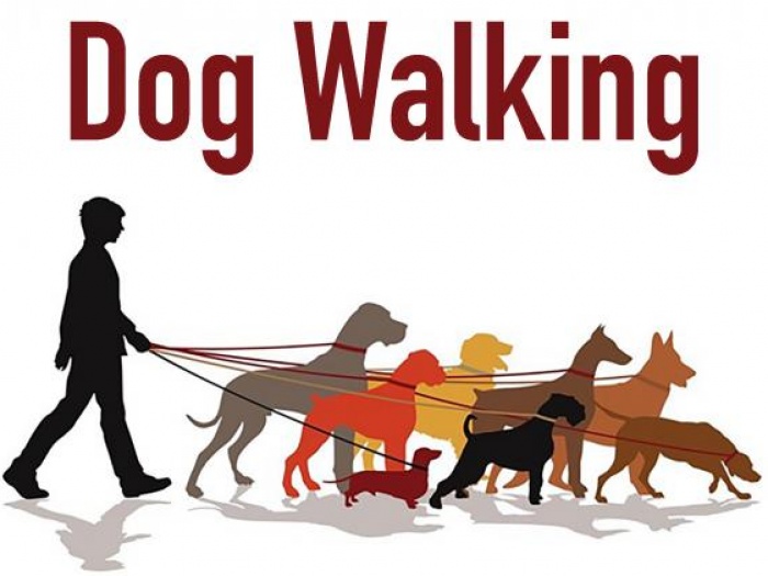 Dog Walking 03a