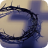 Easter_Crown of Thorns 04