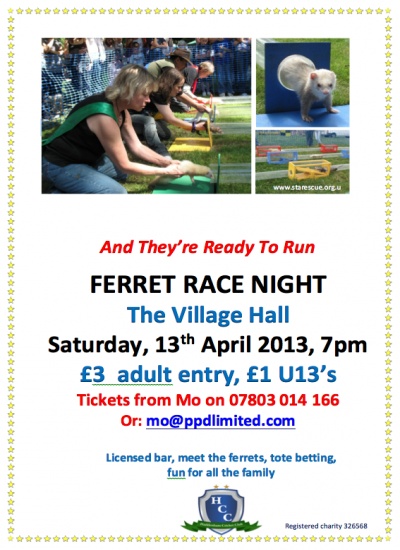 Ferret Racing Poster