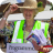 Fete Volunteer