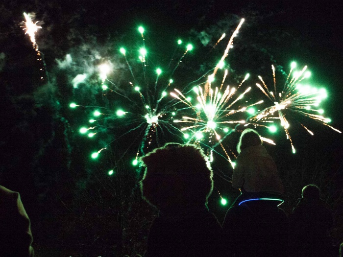Fireworks 35