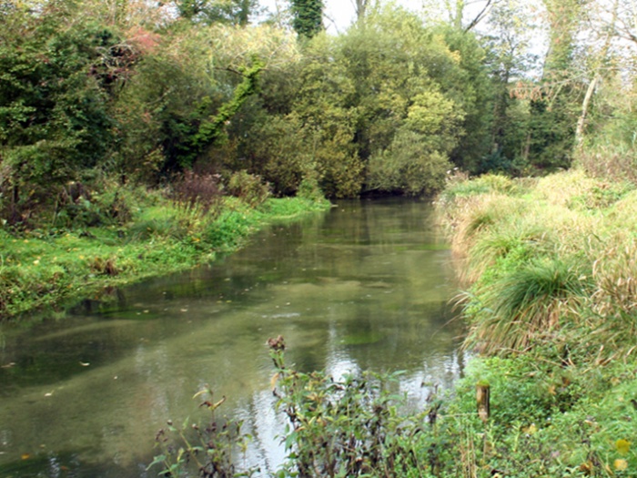 Flowing stream 07a