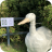 Giant Aylesbury Duck Model