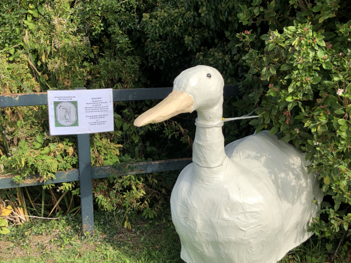 Giant Aylesbury Duck Model
