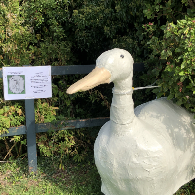 Giant Aylesbury Duck Model
