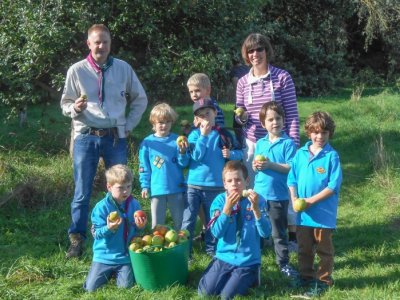 Haddenham Beavers