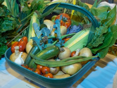 Haddenham's Annual Show 14