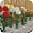 Horticultural Show_Autumn 01