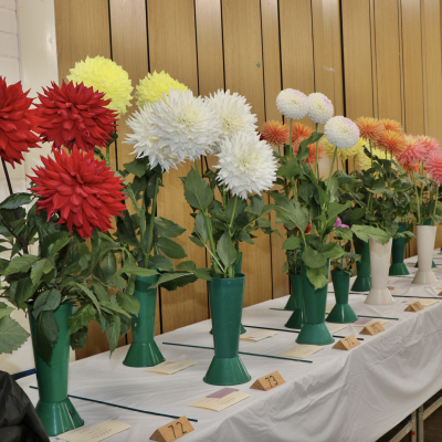 Horticultural Show_Autumn 01