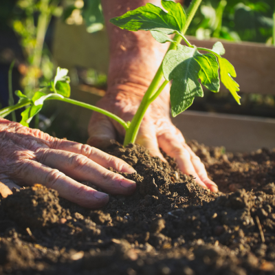 Horticulture