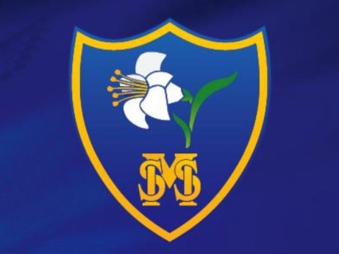 HStM School logo