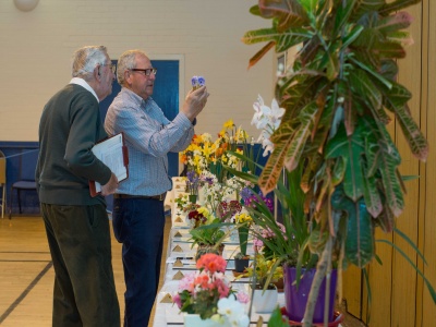 Judging Underway 2