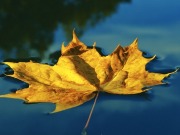 Mindfulness 06