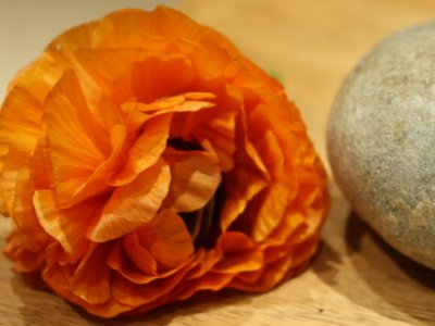 Mindfulness 1