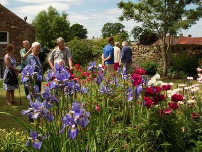 Open Gardens 02