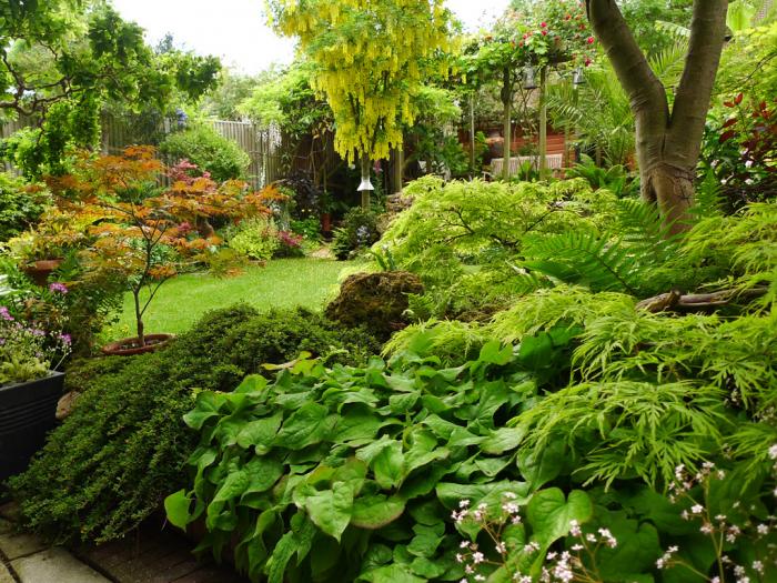 Open Gardens 08