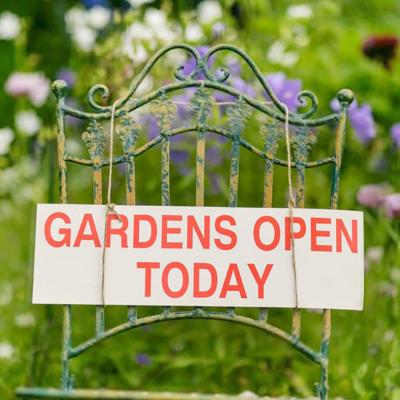 Opens Gardens 04