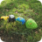 Painted Rock Snake