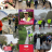 Philippa Achieves Her Marathon Goal