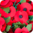 Poppy Appeal 2021