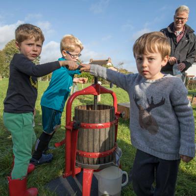 Pressing Apple Pulp with Child Labour!