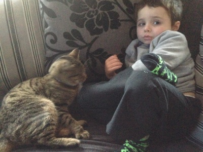 Rex the Cat 1
