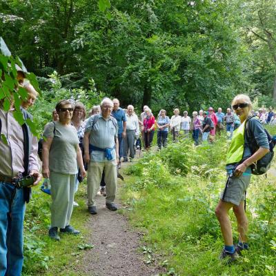 Simply Walk Leaders