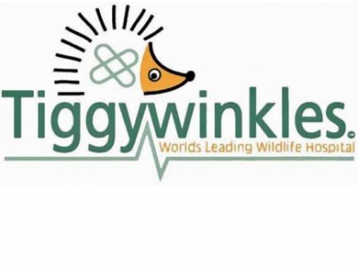 Tiggywinkles logo 02