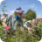Townsend Community Orchard 09