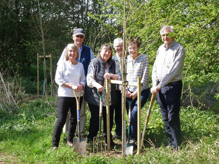 u3a tree plant