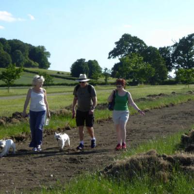 Waddesdon Greenway 02