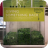 Waitrose Charity Token Bin 03