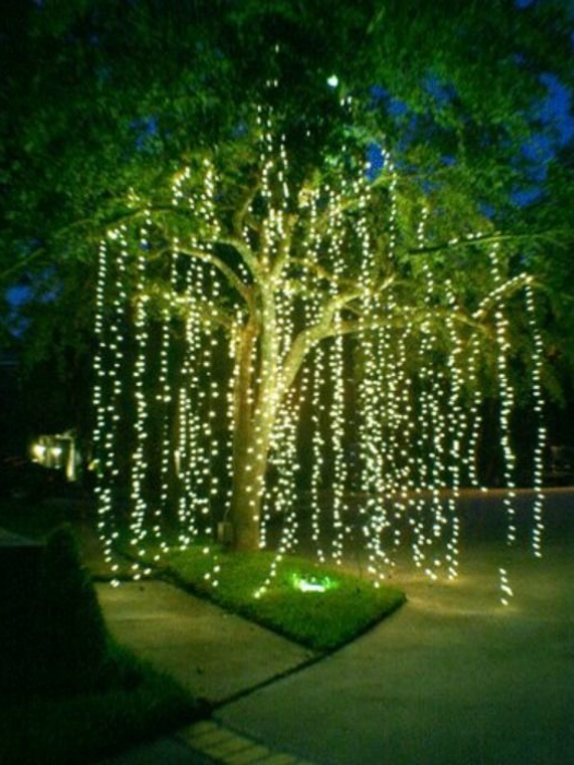 Xmas Tree Lights 02